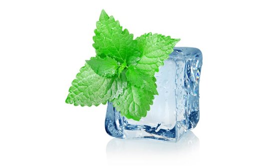 Aroma Menthol