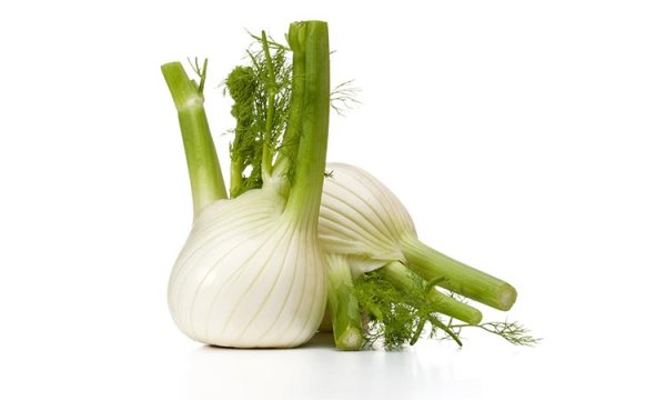 Aroma Fenchel