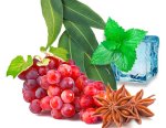 Bemo Fresh Anis