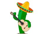 Bemo Mexico