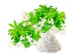 Bemo Green Cream